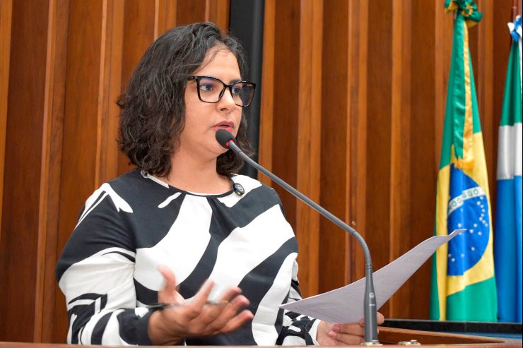 Imagem: O assunto foi abordado pela deputada Gleice Jane nesta manhã durante a sessão ordinária