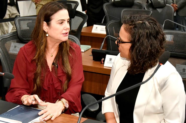 Imagem: Deputadas integram comissão se reunirá com a representante de Governo para apurar fatos relatados pelas mães atípicas 