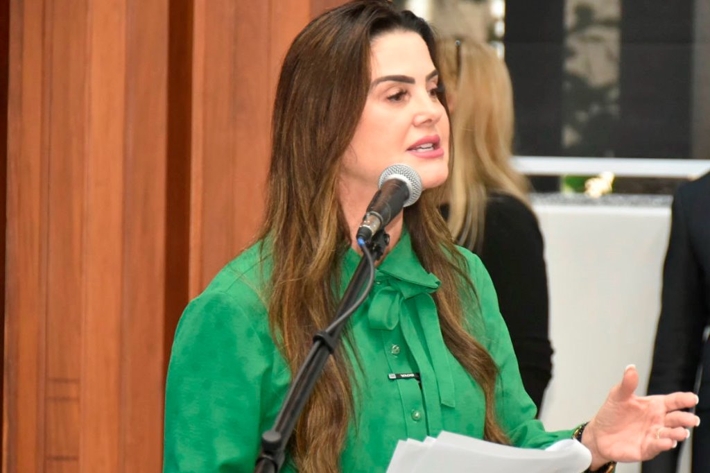 Imagem:  A data proposta pela deputada estadual Mara Caseiro objetiva manter viva a memória das vítimas de feminicídio