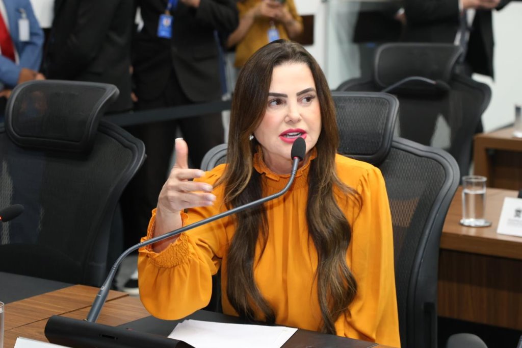 Imagem: Para deputada Mara, iniciativa visa celebrar compromisso com a educação cidadã e a democracia