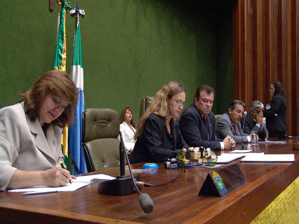 Imagem: Deputados em sessão plenária