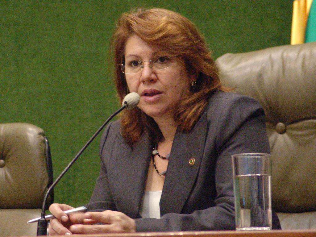 Imagem: deputada Dione Hashioka