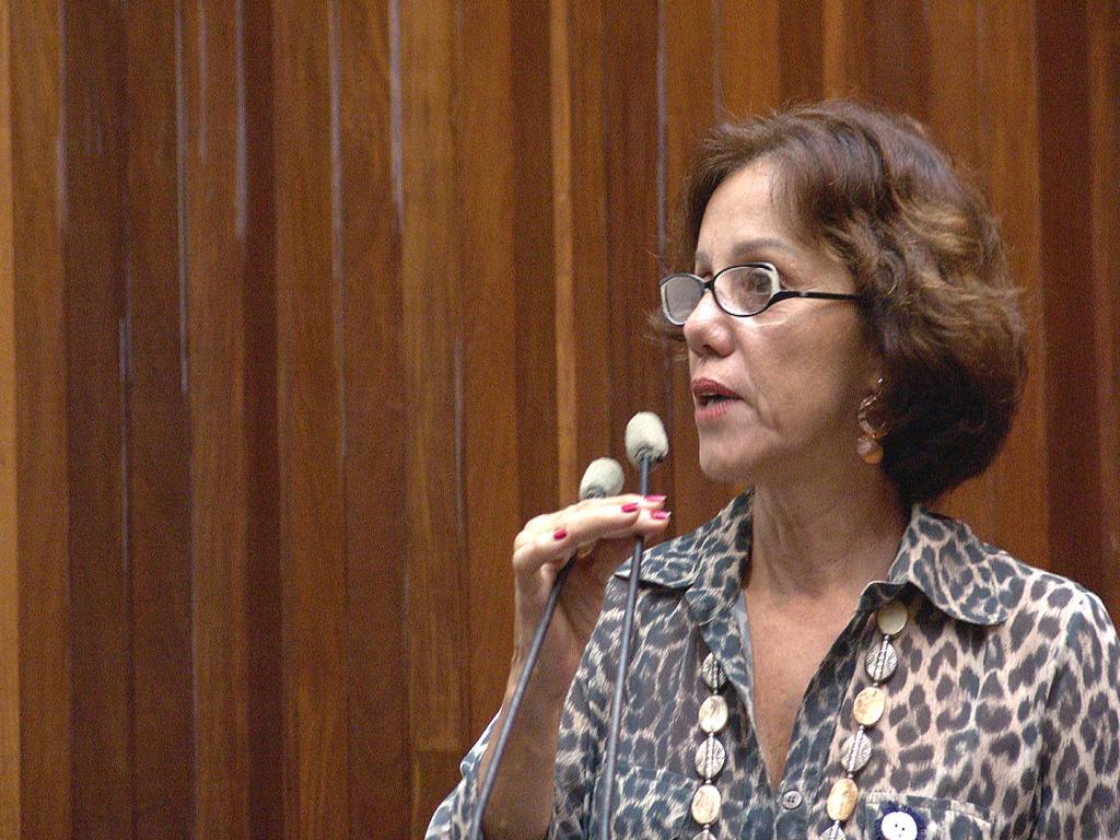 Imagem: Professora Ângela Costa