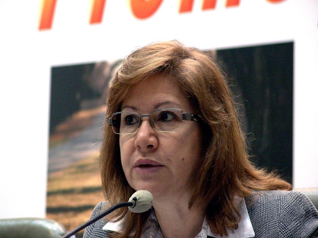 Imagem: Deputado Dione Hashioka