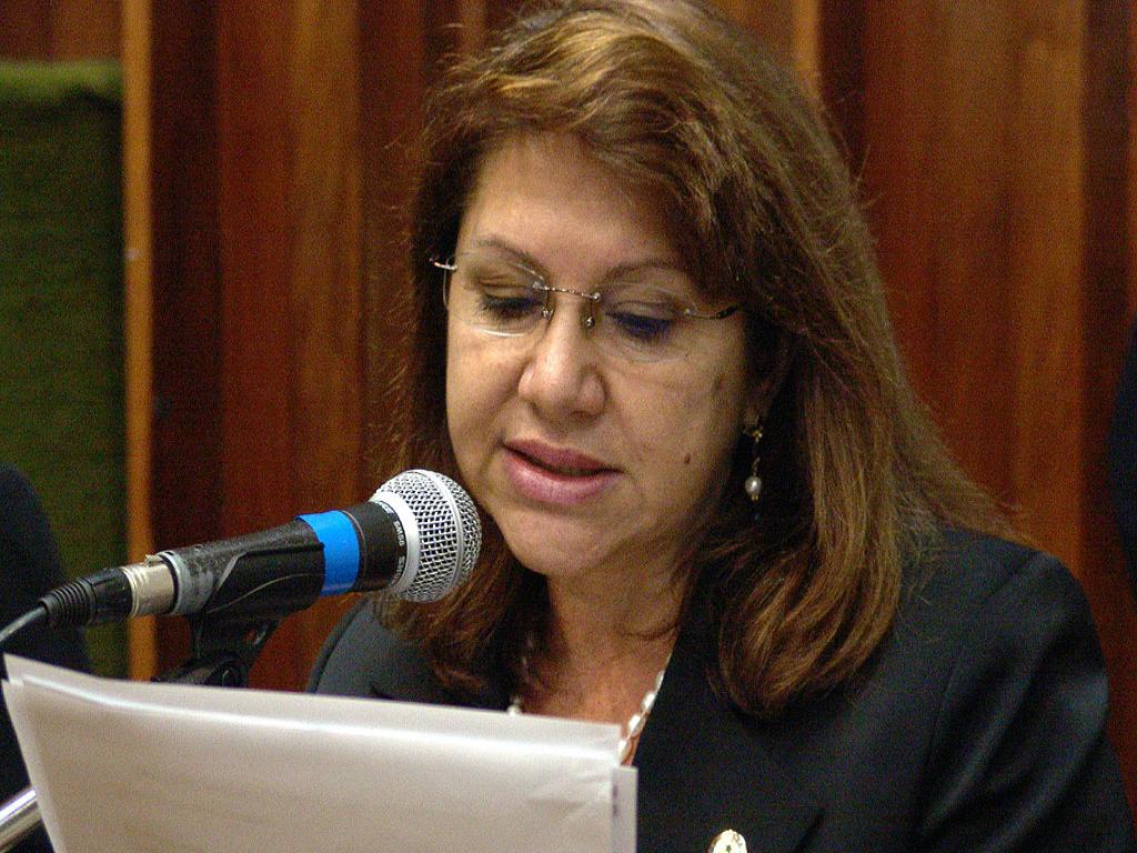 Imagem: Deputada Dione Hashioka