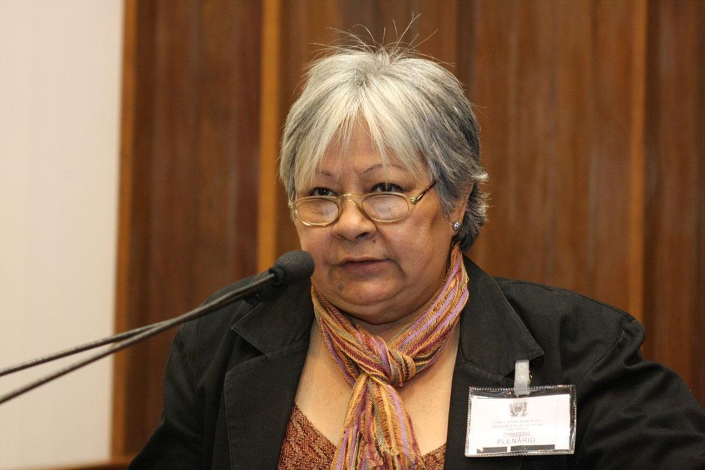 Imagem: Delasnieve Daspet está concorrendo a uma cadeira na Academia Brasileira de Letras, juntamente com dez candidatos.