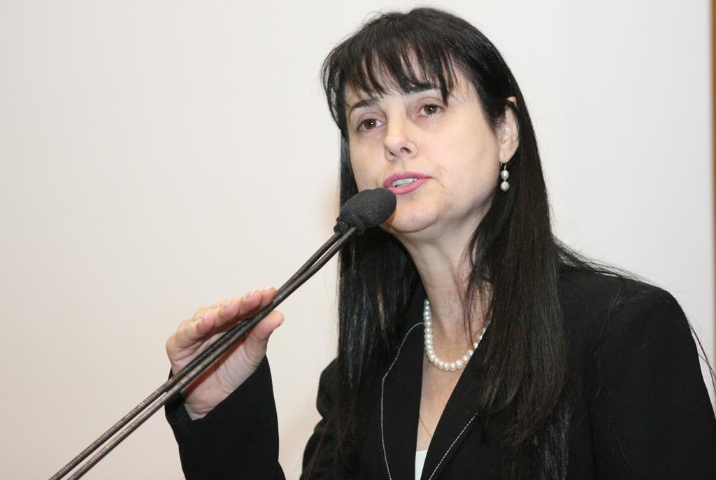 Imagem: A deputada explica que a maioria das agressões é feita pelo marido e na frente dos filhos.