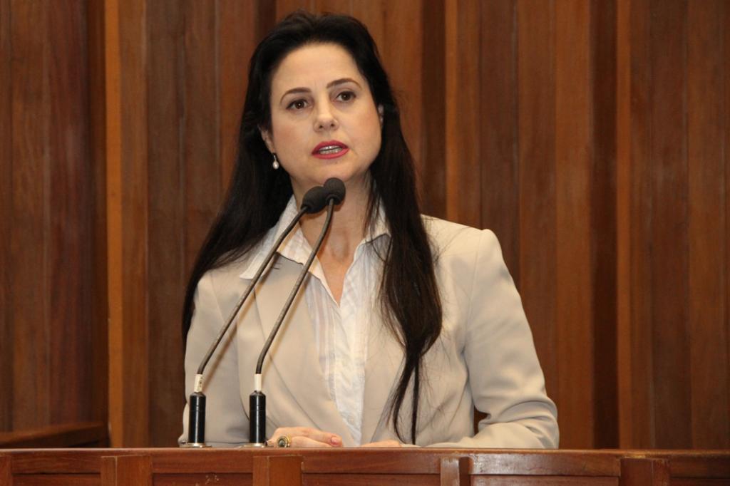 Imagem: Mara sobe à tribuna para defender habitação nas aldeias