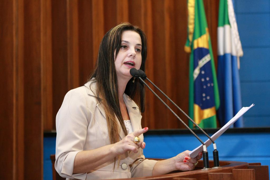 Imagem: Mara apóia servidores durante manifestação na Assembleia