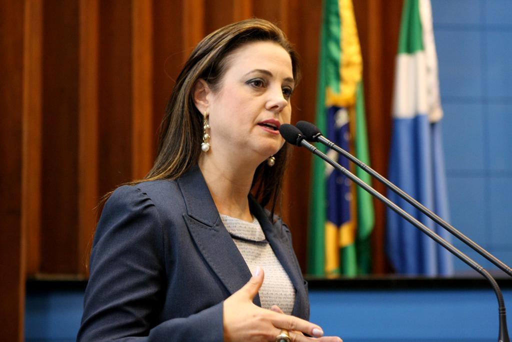 Imagem: Mara Caseiro defende equipe multidisciplinar para evitar atos de violência nas escolas