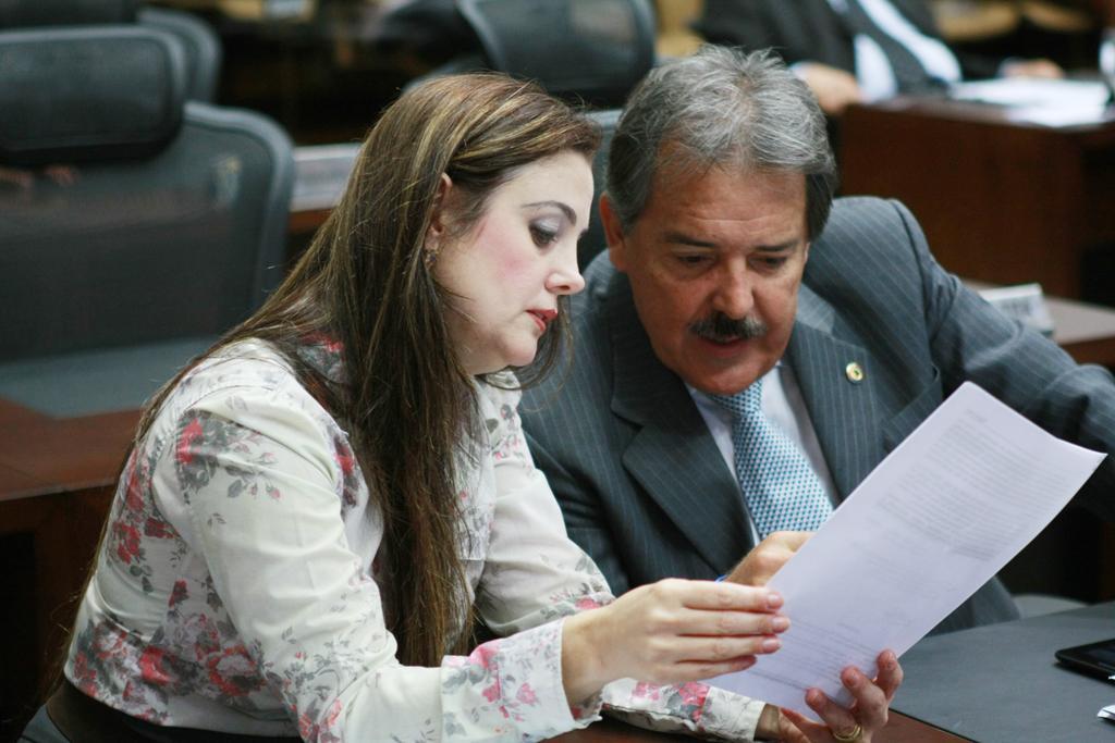 Imagem: Deputada comenta sobre proposta apresentada em plenário