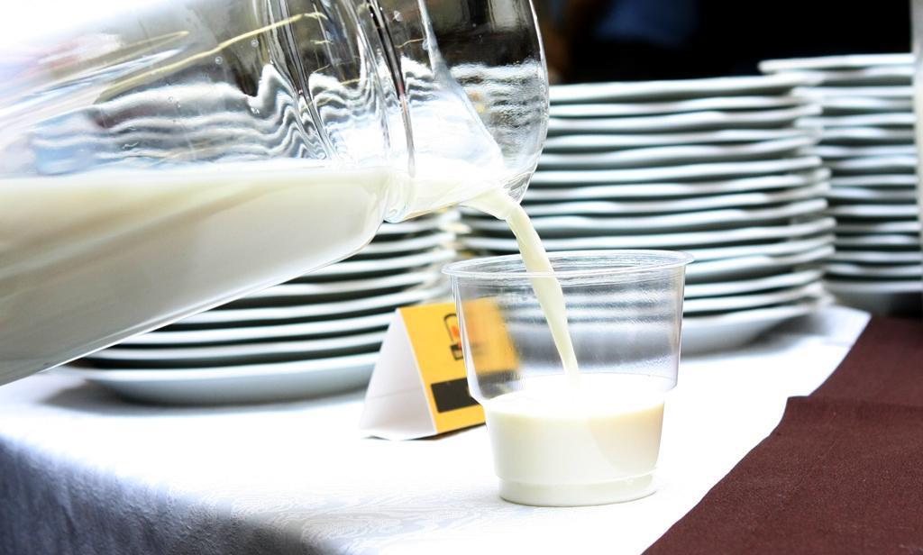 Imagem: Lei que institui a Semana do Leite em MS é de autoria do deputado Junior Mochi.