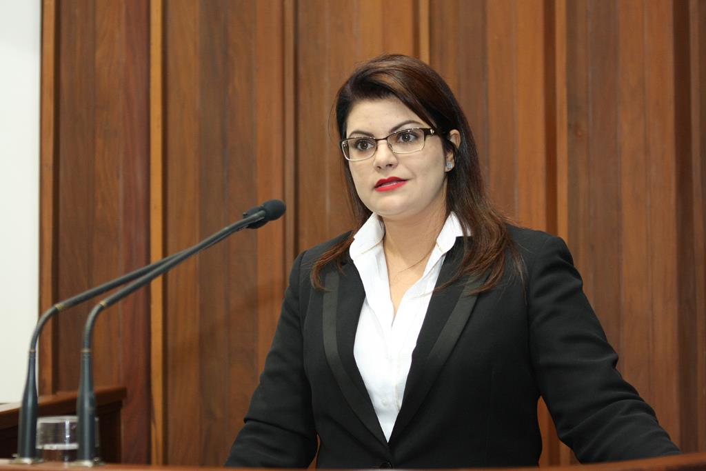 Imagem: Defensora pública Patrícia Elias Cozzolino de Oliveira palestrou sobre direito de acesso à justiça. 