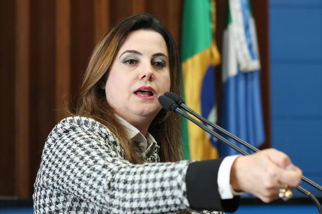 Imagem: Lei é de autoria da deputada Mara Caseiro, 3ª vice-presidente da Assembleia.