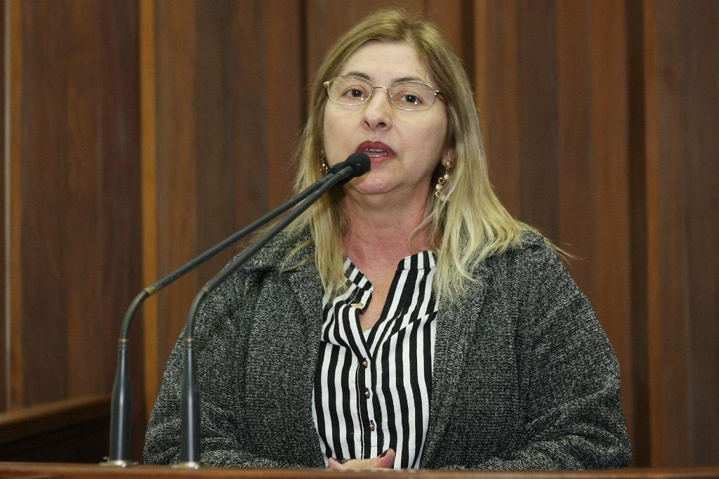 Imagem: Coordenadora pedagógica da Escola do Legislativo ocupou a tribuna para falar sobre a iniciativa.