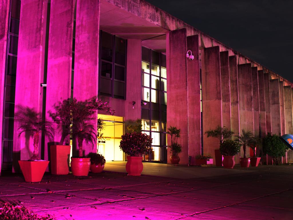 Imagem: Fachada da Assembleia Legislativa conta com iluminação especial durante este mês.