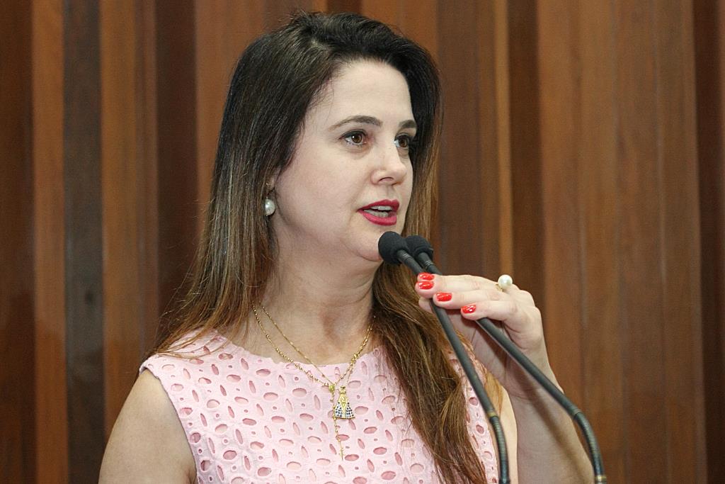 Imagem: Segundo Mara Caseiro, vice-presidente da Comissão de Educação, está preocupada com suspensão do setor na Santa Casa.