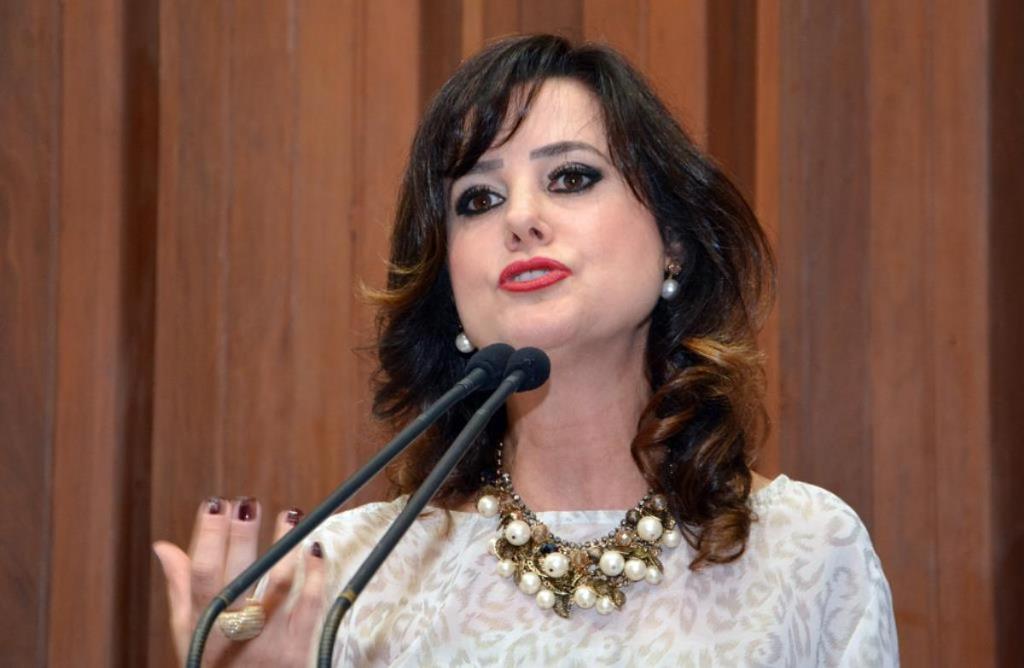 Imagem: A audiência pública foi proposta pela deputada Mara Caseiro, 3ª vice-presidente da Casa de Leis