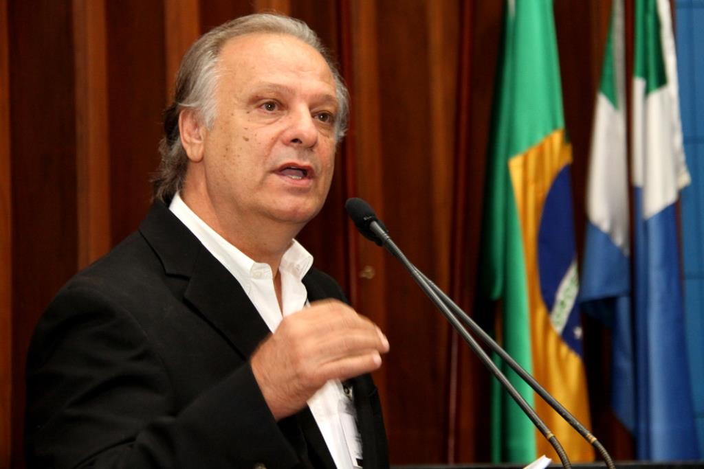 Imagem: Diretor-executivo da Reflore-MS disse que o Estado hoje conta com uma produção de 820 mil hectares de eucaliptos