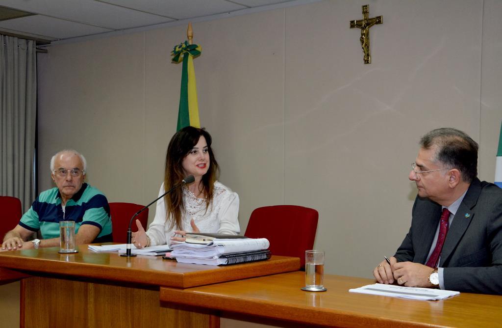 Imagem: Mara afirmou que o relatório completo será avaliado detalhadamente pelos membros da comissão