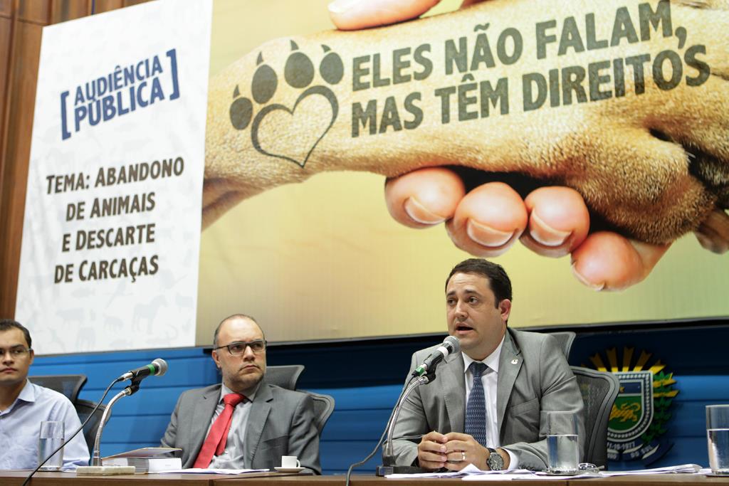 Imagem: Deputado durante audiência pública, dia 26 de maio, onde foi debatida a importância da castração.
