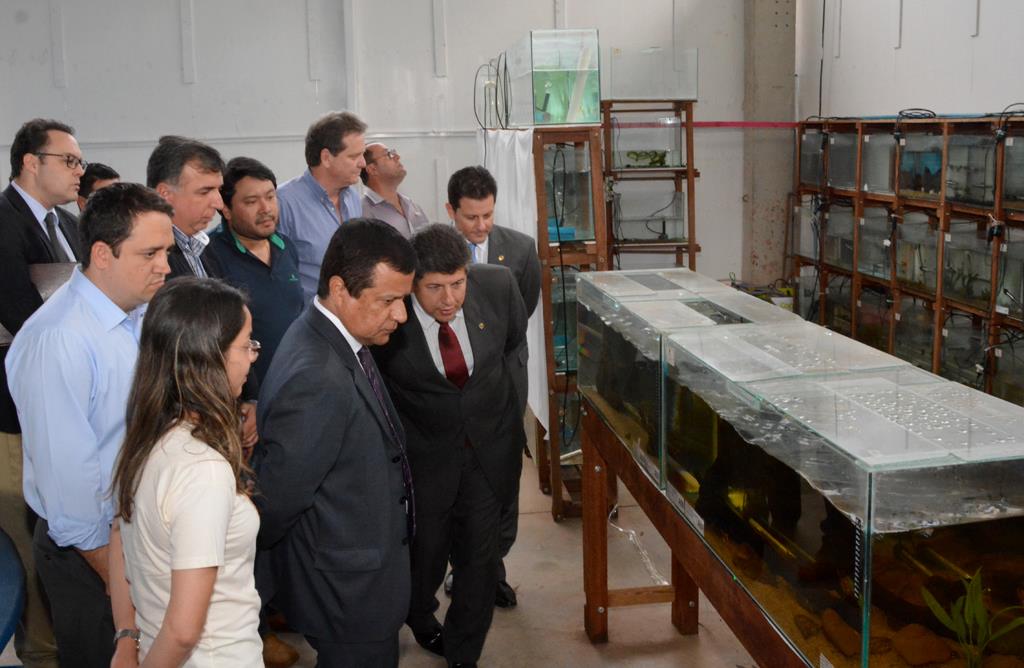 Imagem: Deputados da Comissão durante visitação aos tanques de peixes em quarentena na PMA