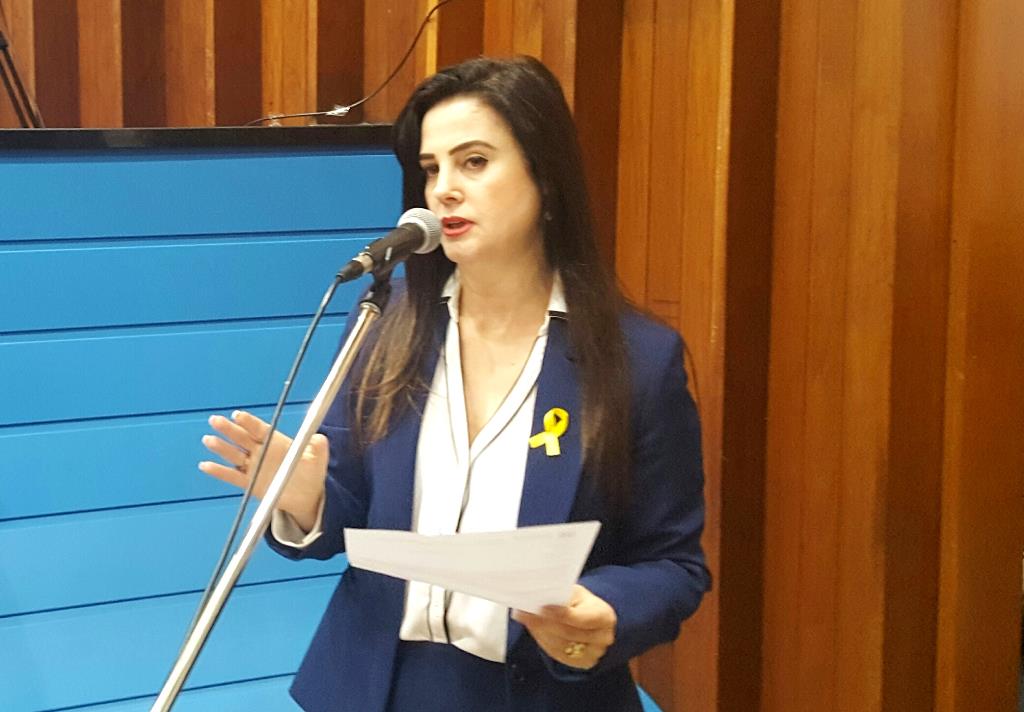 Imagem: Mara Caseiro solicita melhorias em rodovias de Iguatemi