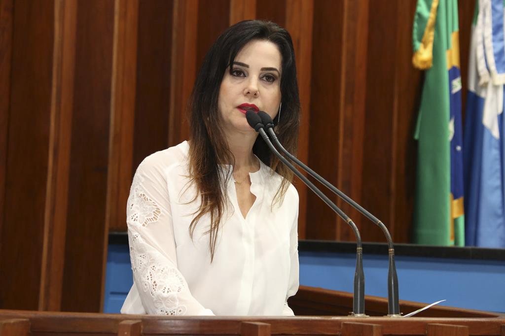 Imagem: Projeto de Mara Caseiro visa proteger mães que sofrem trauma de perder seus bebês