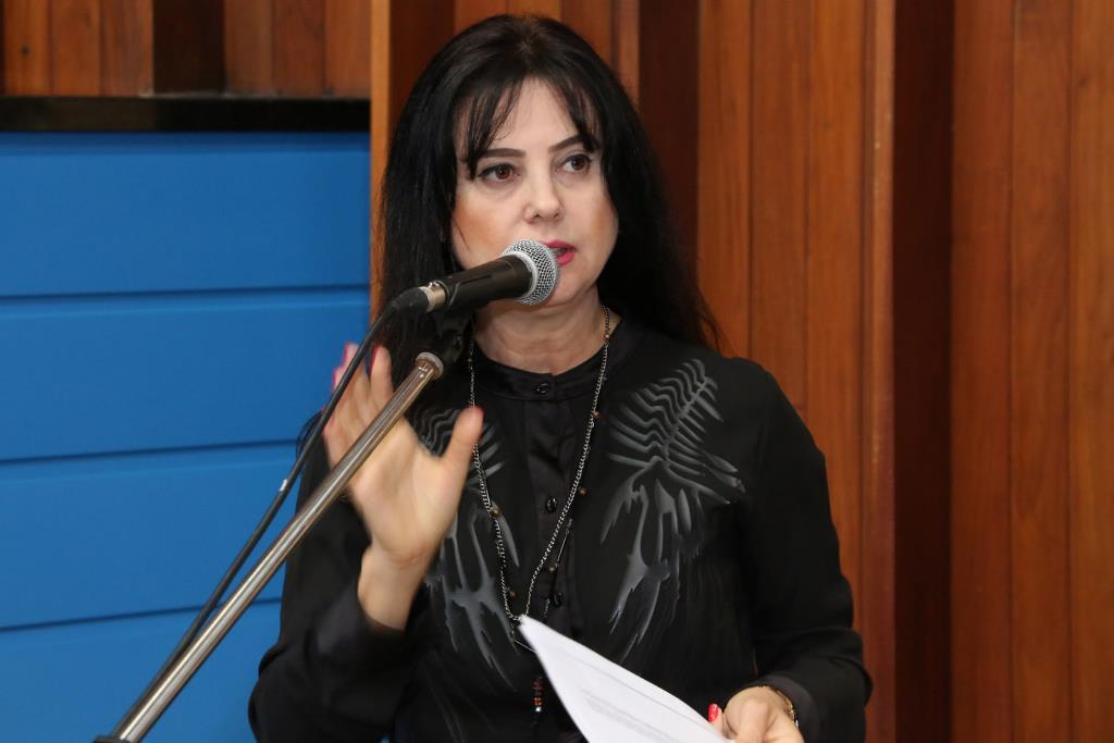 Imagem: Mara Caseiro pede mudanças no sistema de emissão da guia