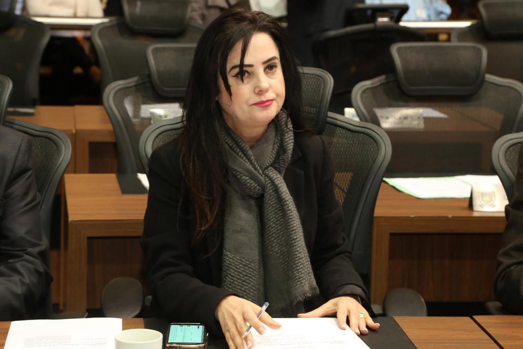 Imagem: Mara Caseiro pede ponte para área rural de Eldorado